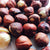 Treat yourself to our Hazelnut, Chocolate & Orange Granola