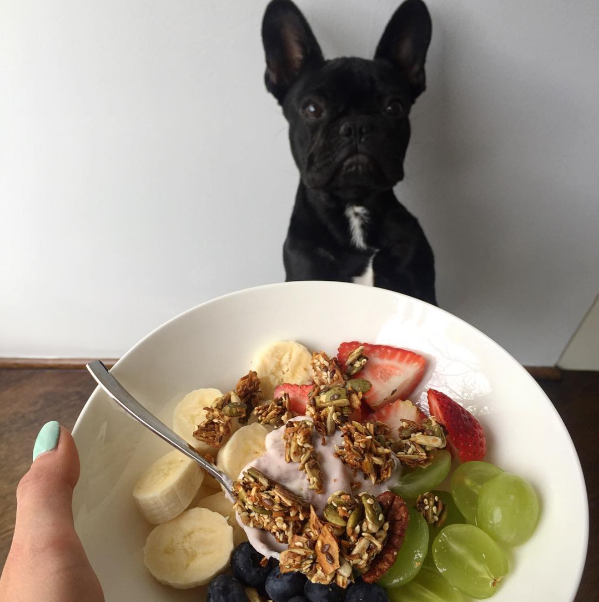 INSTAGRAM: @nutritionhealthylife