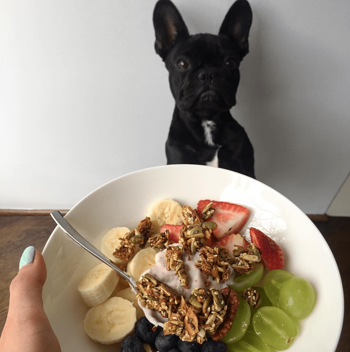 INSTAGRAM: @nutritionhealthylife - FarmerJo