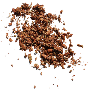 Paleo Cacao Granola (Gluten-free)